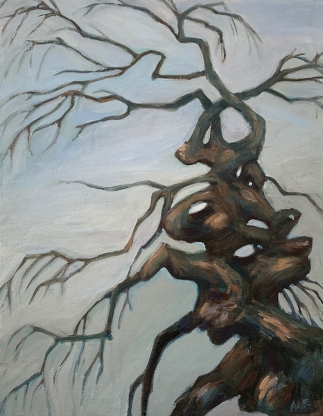 camperdown elm painting