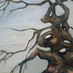 camperdown elm painting